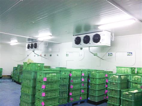 cold storage philippines|used cold storage units.